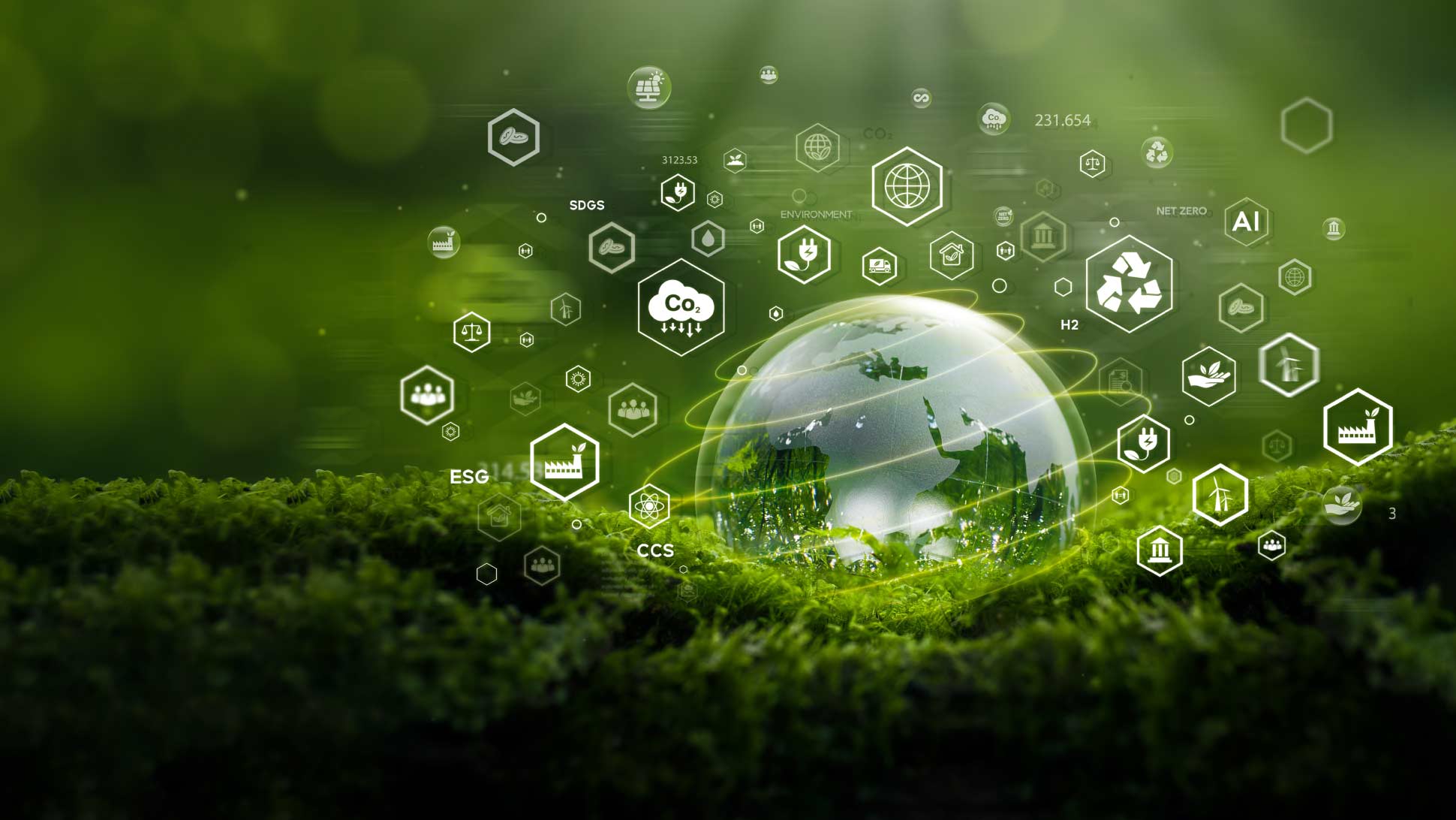 Ekolojik Ayak İzi Nedir? Nasıl Hesaplanır? 