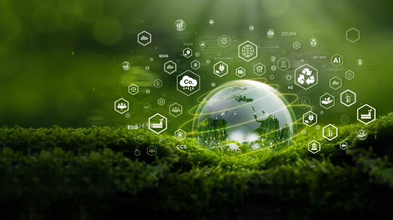 Ekolojik Ayak İzi Nedir? Nasıl Hesaplanır? 