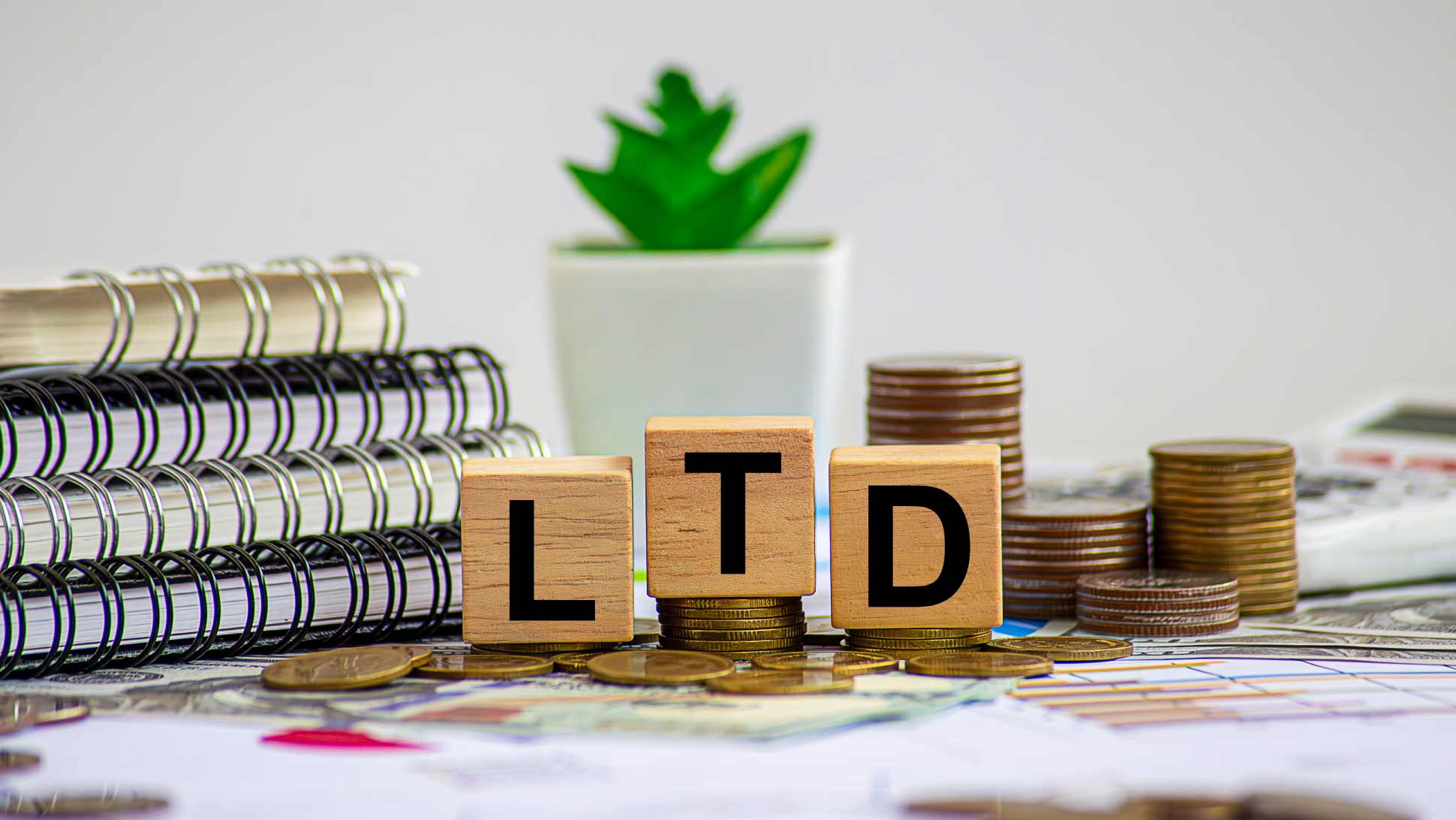 Limited Şirket Nedir? Nasıl Kurulur? 