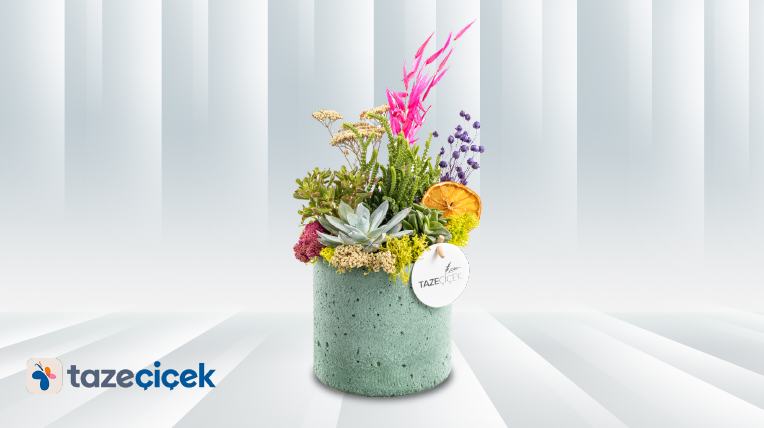 Taze Çiçek’te %15 İndirim! 