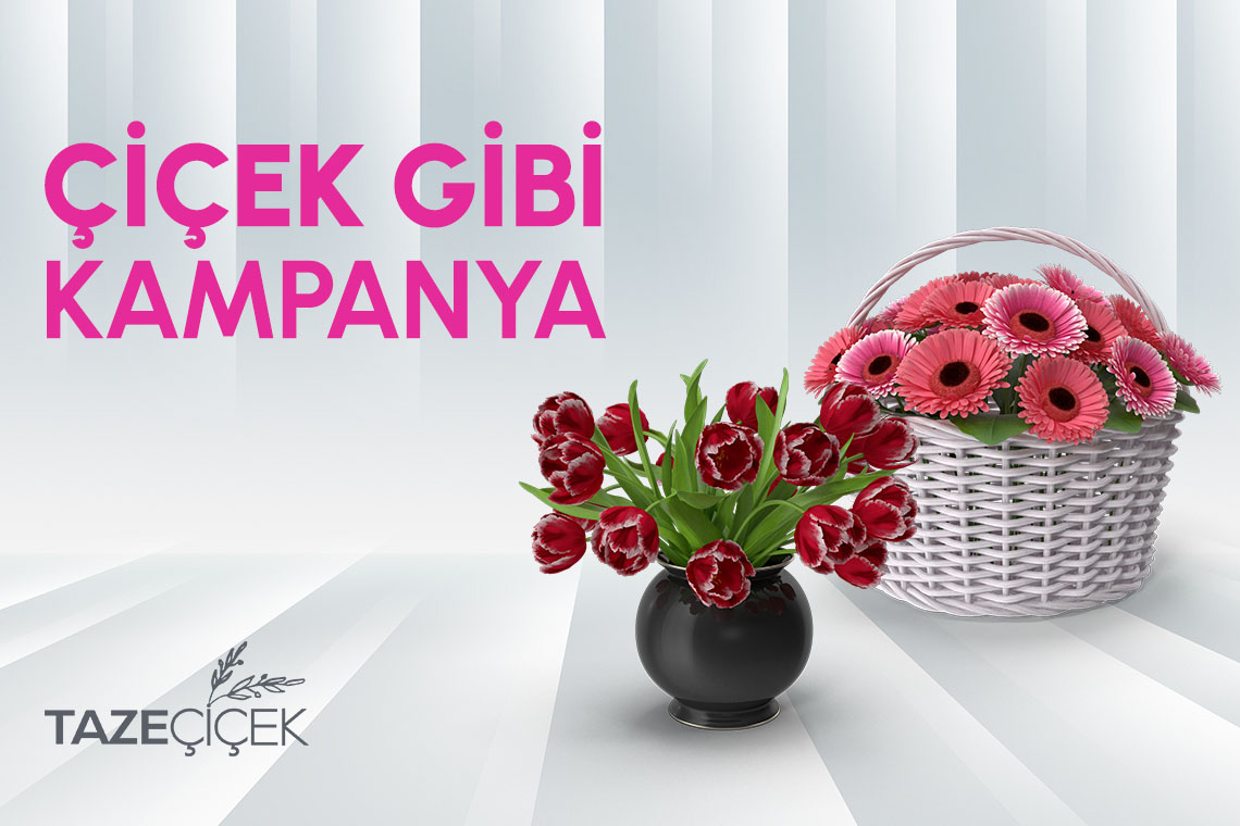 Anneler Günü Hediyesi Vakıf Katılım’da!